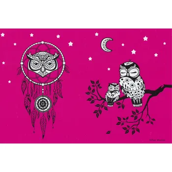 Svačinový box Zdravá lahev Motiv do průhledky Zdravá sváča - Lapač snů