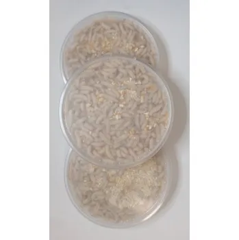 Umělá nástraha Kostní červi krabička cca 20g