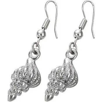 Náušnice Ocelové náušnice - EBE012BA