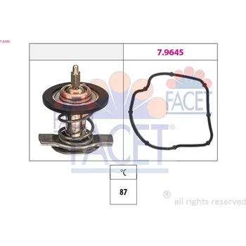 Těsnění motoru Termostat, chladivo FACET 7.8595