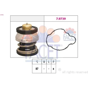 Auto-moto Termostat, chladivo FACET 7.7976
