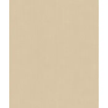 Tapeta Vliesové tapety RASCH Concrete (2024) 521467, vliesová tapeta na zeď, (0,53 x 10,05 m)