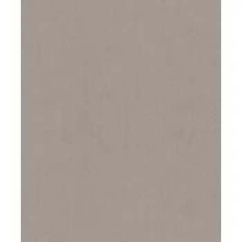 Tapeta Vliesové tapety RASCH Concrete (2024) 521481, vliesová tapeta na zeď, (0,53 x 10,05 m)