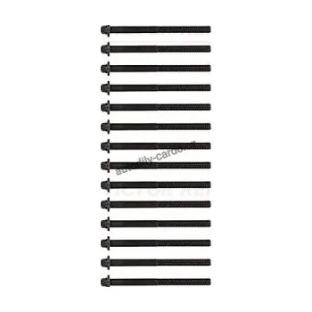 Těsnění motoru Sada šroubů pro hlavy válcu VICTOR REINZ (VR 14-32003-01)