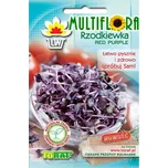 Toraf Multiflora Red Purple ředkvička…
