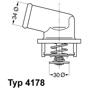 Chladič motoru Termostat, chladivo BORGWARNER 4178.92D
