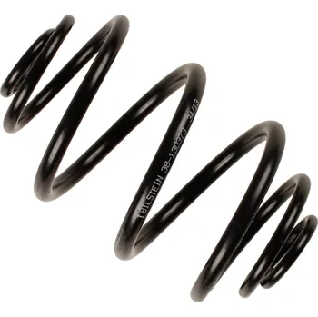 Autodíl Pružina podvozku, , 90189411, BILSTEIN, 38-130373