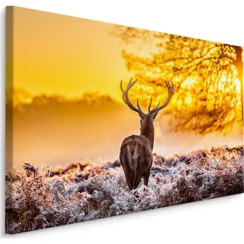 Obraz MyBestHome BOX Plátno Jelen Při Východu Slunce Varianta: 30x20