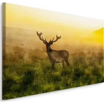 Obraz MyBestHome BOX Plátno Jelen A Mlhavé Ráno Varianta: 30x20