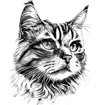 Jedlá dekorace na dort Caketools Jedlý papír "Kočky 7" - A4