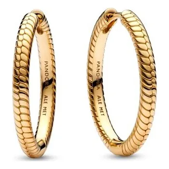 Náušnice Kruhové náušnice PANDORA Shine Moments na přívěsky 269532C00