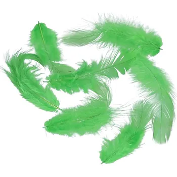 Lapač snů Peříčka Titanum 10 g - zelená světle