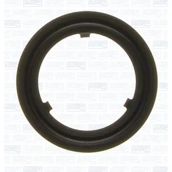 Těsnění motoru Těsnění, 00834400, 1048484, 1115076, 978M8507CC, AJUSA, 00834400