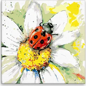 Malování podle čísel - Beruška na kopretině - 40x40 cm, bez dřevěného rámu - CZ výroba