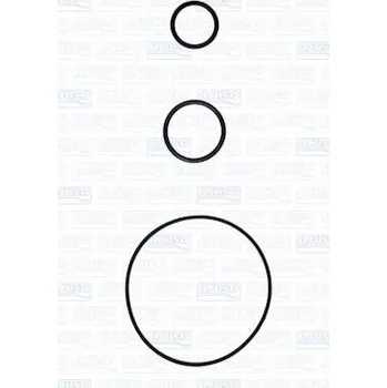 Těsnění motoru Sada těsnění, chladič oleje, 77002100, 6079971145, 7701473629, A6079971145, AJUSA, 77002100