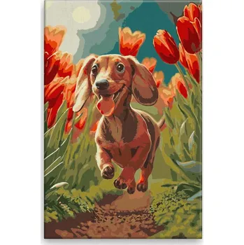 Dětské zboží Malování podle čísel - Šťastný jezevčík - 40x60 cm, bez dřevěného rámu - CZ výroba