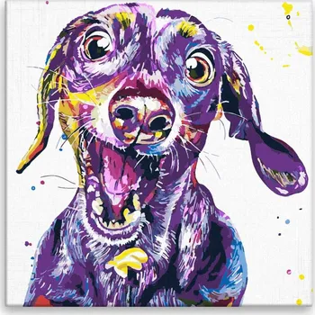 Malování podle čísel - Veselý jezevčík - 40x40 cm, bez dřevěného rámu - CZ výroba