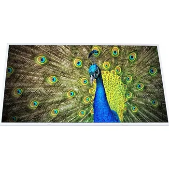 Náhradní displej pro notebook LCD LESK HD ASUS K52D K52DE K52DR (CCFL) (LCD LED TN lesklý 15,6 " 1366 x 768 006-002K)