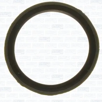 Těsnění motoru Těsnění, 01199300, 0249E5, 96440223, 9682131280, LR009412, MN982033, AJUSA, 01199300