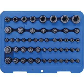 Ruční nářadí BGS 9839, Sada nástrčných hlavic na klíče a bity | E-profil / T-profil (pro Torx) / T-profil (pro Torx) s otvorem / TP-profil (pro Torx Plus) | 52dílná