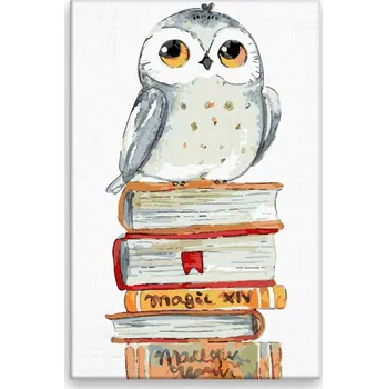 Dětské zboží Malování podle čísel - Sova Hedvika - 40x60 cm, bez dřevěného rámu - CZ výroba