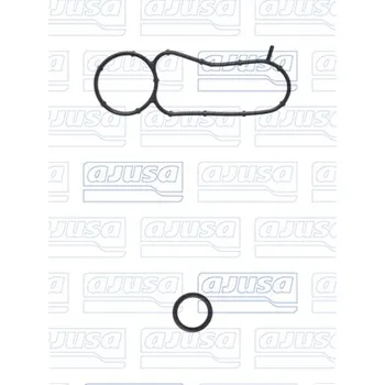 Těsnění motoru Sada těsnění, koleno sacího potrubí, 77019700, 2025840, GK2Q6L710AA, AJUSA, 77019700