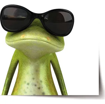 Plakát Sablio Plakát Žába v brýlích - 60x40 cm