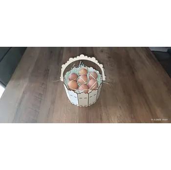 Velikonoční dekorace Velikonoční kbelík na vajíčka