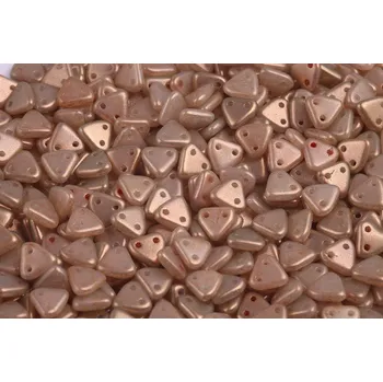 Korálek Dvoudírkový trojúhelník 6 mm č. 38