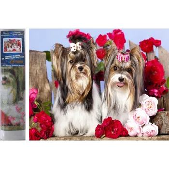 Diamantové malování Norimpex Diamantové malování Pejsci v růžích 30 x 40 cm