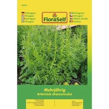 Semeno Estragon víceletý FloraSelf