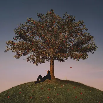 Zahraniční hudba Slowthai - Tyron, 1CD, 2021