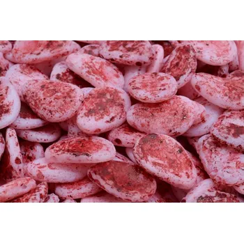 Korálek Lístek sasanky 11x16mm č. 52 (11x16mm)