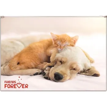 Panta Plast Panta Plast, plastová kapsa se zipem, A4, mix motivů, 1 ks Motiv: Číslo 1