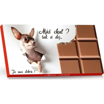 Mléčná čokoláda 50g - Pejsek (máš chuť?)