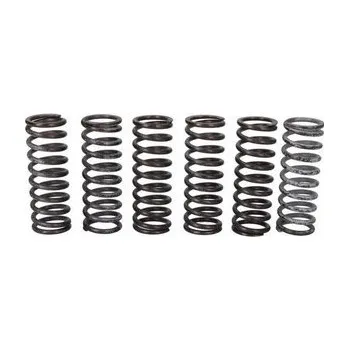 Spojkové pružiny TRW MV Agusta F4 1000 R, RR 12-