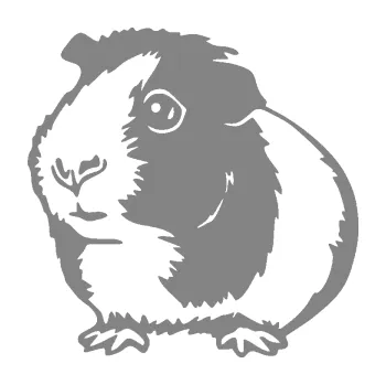 Samolepící dekorace SAMOLEPKA Morče 003 levá (17 - šedá) NA AUTO, NÁLEPKA, FÓLIE, POLEP, TUNING, VLASTNÍ TEXT, TISK, AUTOSAMOLEPKY.cz, POLEPY, OBRÁZEK, LOGO, SAMOLEPKY