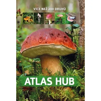 Atlas hub - Patrycja Zarawska (2023,…