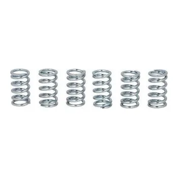 Spojkové pružiny TRW Kawasaki GTR 1400 15-18
