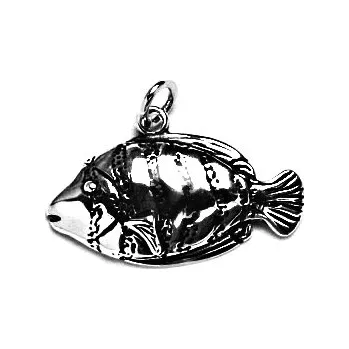 Přívěsek Stříbrný přívěsek korálová rybička - P141 (Stříbrný přívěsek korálová ryba )