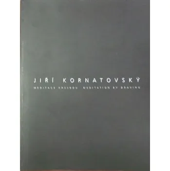 RC model auta Jiří Kornatovský