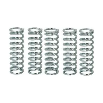 Spojkové pružiny TRW Honda CB 1100 SF X-eleven 00-03