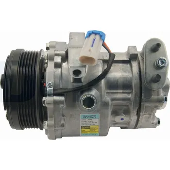 Klimatizace automobilu Kompresor, klimatizace DELPHI TSP0159270