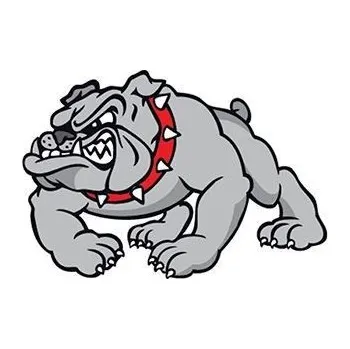 Odstranitelné tetování Buldok - nalepovací tetování