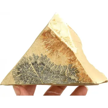 Přírodní kámen Vápenec s dendrity (Solnhofen) 352g