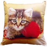 DADKA VRACOV Fotopolštářek 40 x 40 cm