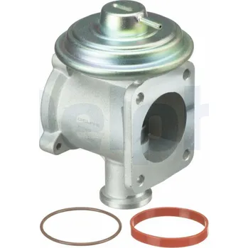 Palivový systém AGR-Ventil DELPHI EG10433-12B1