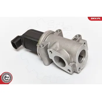 Ventil palivového systému AGR-Ventil ESEN SKV 14SKV055