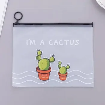 Penál Průhledný obal na tužky s motivem kaktusu - C