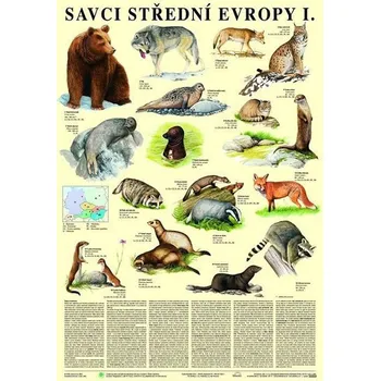 Bystrá hlava Plakát - Savci střední Evropy I. - Šelmy